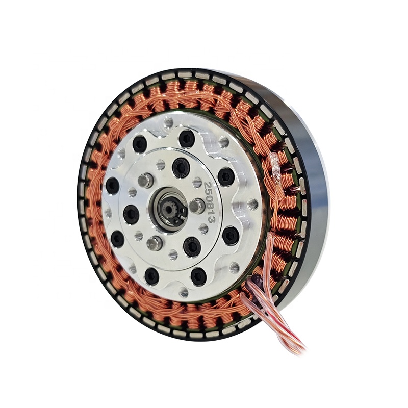 Modulo giunto robotico BLDC ad - Bldc Planetary Gear Motor 48V High Torque recensione e prezzo
